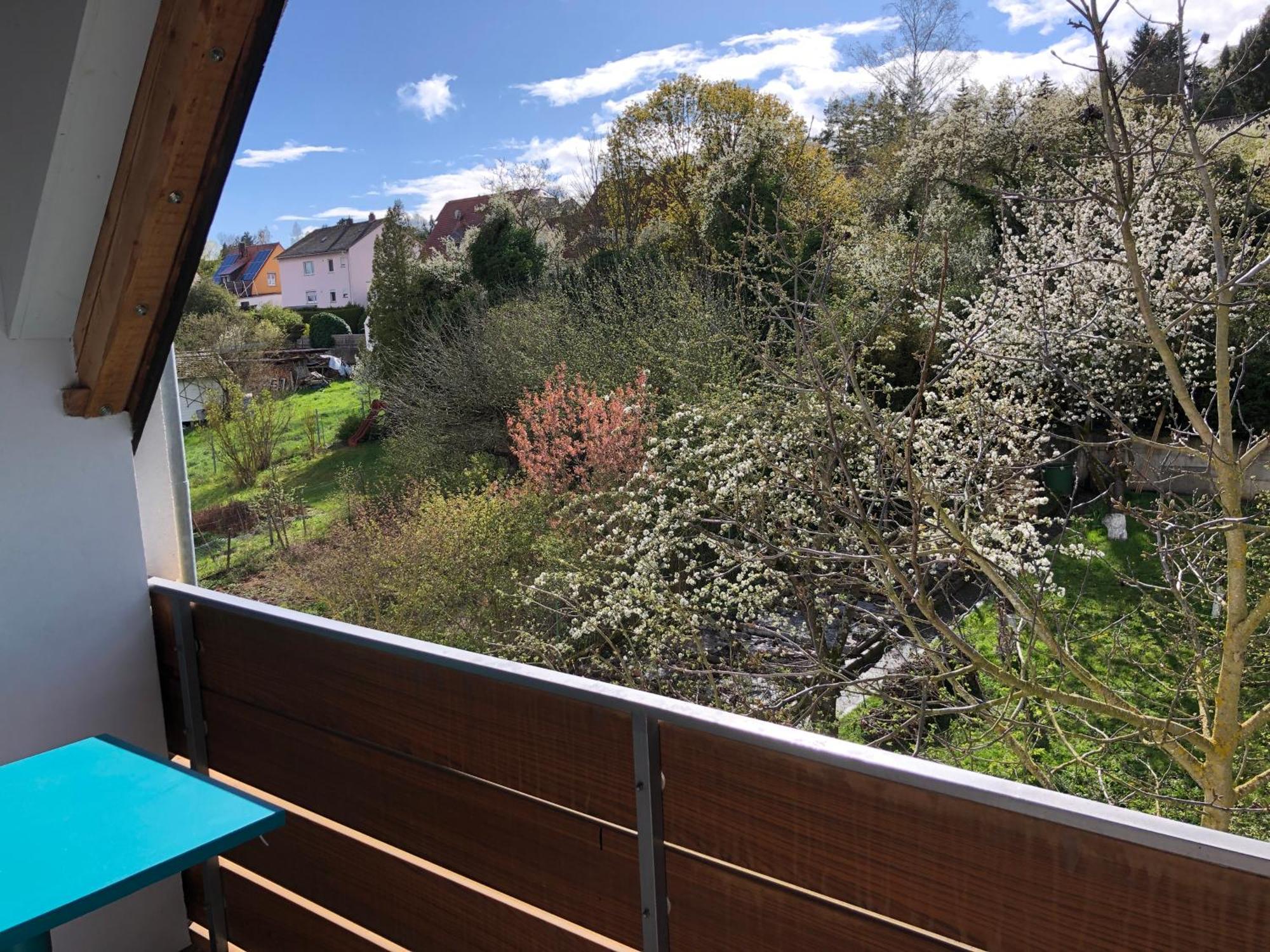Blaues Zimmer Mit Grossem Balkon, Bad Ist Ein Traum, 50 Schritte Zum Radweg Am Main,Ideal For Short Stay Mainstockheim Bagian luar foto